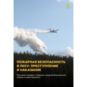 Пожарная безопасность в лесу: преступление и наказание