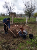 Акция Посади свое дерево жизни