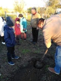 Акция Посади свое дерево жизни