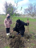 Акция Посади свое дерево жизни