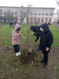 Акция Посади свое дерево жизни