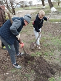 Акция Посади свое дерево жизни